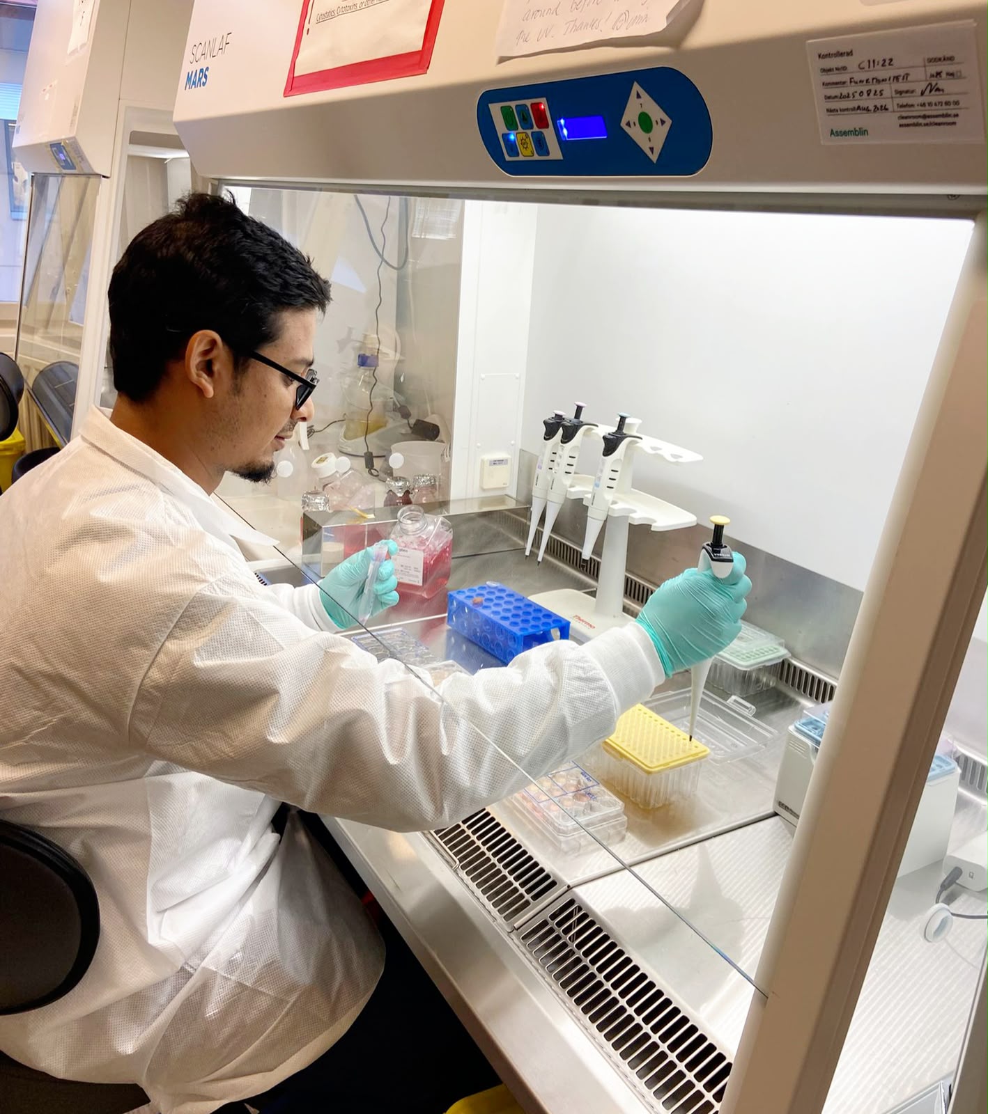 Working in the cell culture lab